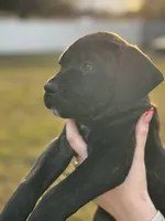 processed/150abef6-532e-40ae-8347-5e513d5f05ac/listing/a87de973-4593-43a2-a02a-2b3deaec5ca8/d5a3ffc4-54ff-4039-babc-812948694a45