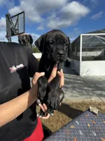 processed/150abef6-532e-40ae-8347-5e513d5f05ac/listing/a87de973-4593-43a2-a02a-2b3deaec5ca8/f0e73483-42b6-46fe-b19a-c30ebe845ff2