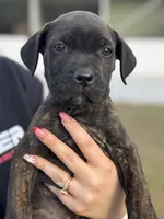 processed/150abef6-532e-40ae-8347-5e513d5f05ac/listing/b2810a07-7d7f-4e5e-9e86-6fca373c8c70/2e8e21c2-48cb-469f-b12a-e2c96144ea05