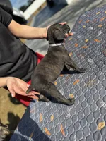 processed/150abef6-532e-40ae-8347-5e513d5f05ac/listing/b2810a07-7d7f-4e5e-9e86-6fca373c8c70/63f45025-3958-4408-9f13-68e97b1cf71d