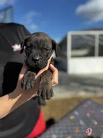 processed/150abef6-532e-40ae-8347-5e513d5f05ac/listing/b2810a07-7d7f-4e5e-9e86-6fca373c8c70/df5618bd-7a1c-4fab-8f5f-c15cbfcf11ce