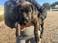 processed/150abef6-532e-40ae-8347-5e513d5f05ac/listing/dc3641c6-3dcc-4a3f-a4fc-ad76361795b2/09d68e1c-a992-409f-b50e-12842fbcef32