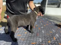 processed/150abef6-532e-40ae-8347-5e513d5f05ac/listing/dc3641c6-3dcc-4a3f-a4fc-ad76361795b2/0c9b966f-4469-4f9c-b0d4-9c009903b96a