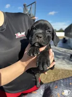 processed/150abef6-532e-40ae-8347-5e513d5f05ac/listing/dc3641c6-3dcc-4a3f-a4fc-ad76361795b2/4c703c96-2f3e-4e96-b202-342f4315e4b4