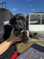 processed/150abef6-532e-40ae-8347-5e513d5f05ac/listing/dc3641c6-3dcc-4a3f-a4fc-ad76361795b2/772f4670-c851-4288-972d-0e5d8679a459