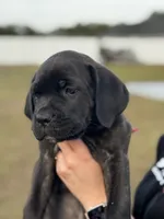 processed/150abef6-532e-40ae-8347-5e513d5f05ac/listing/dc3641c6-3dcc-4a3f-a4fc-ad76361795b2/e860be06-0664-4db9-bc93-e3ea46679494