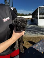 processed/150abef6-532e-40ae-8347-5e513d5f05ac/listing/dd743fff-aac5-4053-870f-996a5e756d34/199a2682-3426-40ef-8a39-3c968f50efea