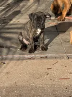 processed/150abef6-532e-40ae-8347-5e513d5f05ac/listing/dd743fff-aac5-4053-870f-996a5e756d34/79d281af-eb8a-4d99-833e-f8d96a630e62