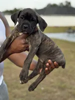 processed/150abef6-532e-40ae-8347-5e513d5f05ac/listing/dd743fff-aac5-4053-870f-996a5e756d34/a7ba06f8-8971-40b6-bfdc-e634ba1e36bb