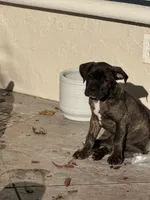 processed/150abef6-532e-40ae-8347-5e513d5f05ac/listing/dd743fff-aac5-4053-870f-996a5e756d34/b26ba3d6-c239-440f-95c6-d867ac55741a