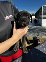 processed/150abef6-532e-40ae-8347-5e513d5f05ac/listing/dd743fff-aac5-4053-870f-996a5e756d34/dd53f0d1-e5d7-4244-b2f5-dc955da7bd17