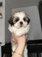 processed/1510a8cb-25a8-4d3e-9450-1d714f9664a9/listing/d4bd019c-9489-41e1-bd82-0c3596c7da3c/4e996271-acdd-4f36-97b3-dd31a01a4365