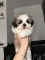 processed/1510a8cb-25a8-4d3e-9450-1d714f9664a9/listing/d4bd019c-9489-41e1-bd82-0c3596c7da3c/ce1adc6a-678d-4f12-98e2-e57a1012983b