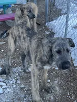 processed/1512200d-61f3-46fc-a023-b2119cfeea8b/listing/07043d0f-a46c-4468-b72c-cd32cc10614e/27b8f818-ccbc-4c69-a8d0-c55f95b71adf