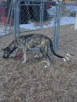 processed/1512200d-61f3-46fc-a023-b2119cfeea8b/listing/07043d0f-a46c-4468-b72c-cd32cc10614e/3af293cd-e51a-457c-8828-3f9196541ffd