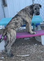 processed/1512200d-61f3-46fc-a023-b2119cfeea8b/listing/07043d0f-a46c-4468-b72c-cd32cc10614e/4d8bc8a5-5b30-4fda-b9df-5a7f2c268e6b