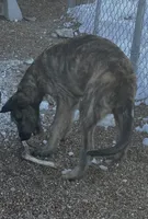 processed/1512200d-61f3-46fc-a023-b2119cfeea8b/listing/07043d0f-a46c-4468-b72c-cd32cc10614e/92a67e49-4ebb-4121-ad74-f3705d4e5dbc