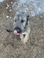 processed/1512200d-61f3-46fc-a023-b2119cfeea8b/listing/07043d0f-a46c-4468-b72c-cd32cc10614e/a2b0514a-67c2-479b-a39c-02c18509cf6b