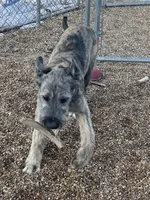 processed/1512200d-61f3-46fc-a023-b2119cfeea8b/listing/07043d0f-a46c-4468-b72c-cd32cc10614e/a4bf16b0-c8a4-4b0b-97a3-ca7f2878b737