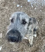 processed/1512200d-61f3-46fc-a023-b2119cfeea8b/listing/07043d0f-a46c-4468-b72c-cd32cc10614e/e6c21a43-c99e-48d1-b1c5-8b917e85ddef