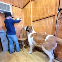 processed/151c7aee-2885-4e99-af76-54e9762d4b6e/facility/4d3370de-0414-4932-a2d4-7c4cc8408a36