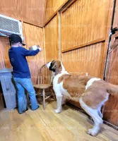 processed/151c7aee-2885-4e99-af76-54e9762d4b6e/facility/4d3370de-0414-4932-a2d4-7c4cc8408a36