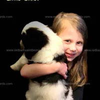 processed/151c7aee-2885-4e99-af76-54e9762d4b6e/facility/502d99b6-01bd-45a6-b1ac-b19a4a65f118