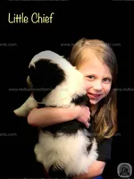 processed/151c7aee-2885-4e99-af76-54e9762d4b6e/facility/502d99b6-01bd-45a6-b1ac-b19a4a65f118