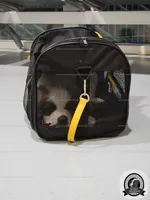 processed/151c7aee-2885-4e99-af76-54e9762d4b6e/facility/79f3e663-cf33-4cb0-8aeb-9ba0efb019ee