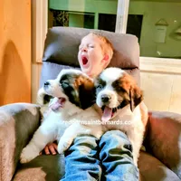 processed/151c7aee-2885-4e99-af76-54e9762d4b6e/facility/85f86845-1b2a-4eda-b8ae-d3524ef0ebb1