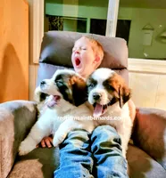 processed/151c7aee-2885-4e99-af76-54e9762d4b6e/facility/85f86845-1b2a-4eda-b8ae-d3524ef0ebb1