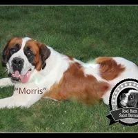 processed/151c7aee-2885-4e99-af76-54e9762d4b6e/facility/ccb70d9f-d83f-4535-92eb-557dd43144a5