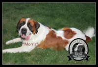 processed/151c7aee-2885-4e99-af76-54e9762d4b6e/facility/ccb70d9f-d83f-4535-92eb-557dd43144a5