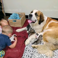 processed/151c7aee-2885-4e99-af76-54e9762d4b6e/facility/fbcf924d-3fc9-4acb-8dee-03916ecc10c1