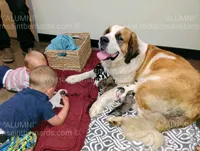 processed/151c7aee-2885-4e99-af76-54e9762d4b6e/facility/fbcf924d-3fc9-4acb-8dee-03916ecc10c1