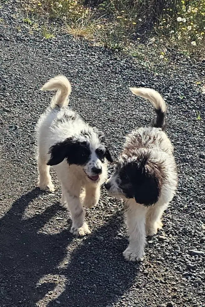 processed/151c7aee-2885-4e99-af76-54e9762d4b6e/listing/a1927d09-fd0a-4e00-bc33-d454832c432a/04830bfd-8263-4077-8197-f81ca527117c