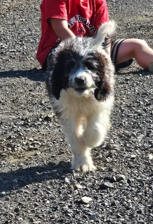 processed/151c7aee-2885-4e99-af76-54e9762d4b6e/listing/a1927d09-fd0a-4e00-bc33-d454832c432a/bb1088c1-497e-404d-ad50-5f2daf94e038