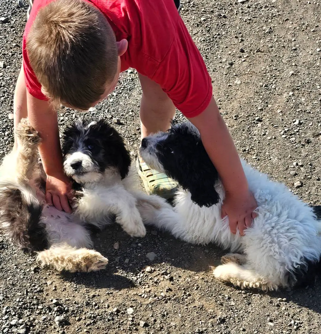 processed/151c7aee-2885-4e99-af76-54e9762d4b6e/listing/a1927d09-fd0a-4e00-bc33-d454832c432a/e8adf7eb-6386-4bb8-bbdf-b78faf35caa3