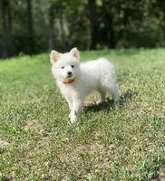 processed/152d5eb9-c904-4407-a3fc-97fe4ae99acd/facility/3ba543ac-6892-48ce-9acd-d3610408fc2b