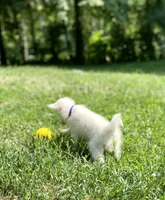 processed/152d5eb9-c904-4407-a3fc-97fe4ae99acd/facility/6f7c0605-b011-4522-8ff2-787ee84a172c