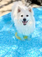 processed/152d5eb9-c904-4407-a3fc-97fe4ae99acd/facility/7c44c297-9eaa-4b96-bfb0-2809bf4676fe