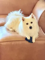 processed/152d5eb9-c904-4407-a3fc-97fe4ae99acd/facility/8acd8936-8c45-4617-8535-bdb367f26e19