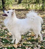 processed/152d5eb9-c904-4407-a3fc-97fe4ae99acd/facility/bac6a34b-638a-4ac8-b281-978945034160