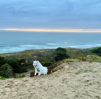 processed/152d5eb9-c904-4407-a3fc-97fe4ae99acd/facility/db6b1483-2461-4e01-8582-aa9d5ad54a68