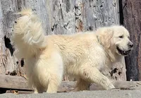 processed/153cb8b5-d75e-4f6b-8204-728c82183c13/listing/6135e58f-8652-4223-a4c7-e14f9f7b2df4/2ab5303b-cb2a-47d2-9a3c-6d7fa4328bee