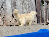 processed/153cb8b5-d75e-4f6b-8204-728c82183c13/listing/6135e58f-8652-4223-a4c7-e14f9f7b2df4/34d4ea70-61f5-4b55-aa25-4fc82899cff5