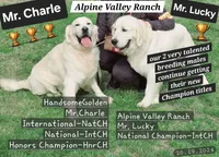 processed/153cb8b5-d75e-4f6b-8204-728c82183c13/listing/c93bf9d4-6126-4d1a-9579-fc2b0d4473fe/37dcbdc0-6eec-4109-acf1-15d54911f91a