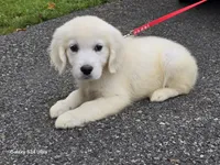 processed/153cb8b5-d75e-4f6b-8204-728c82183c13/listing/c93bf9d4-6126-4d1a-9579-fc2b0d4473fe/499f0b0a-3930-4562-a88c-1242b1edfc23