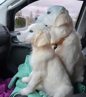 processed/153cb8b5-d75e-4f6b-8204-728c82183c13/listing/c93bf9d4-6126-4d1a-9579-fc2b0d4473fe/59b37bd8-49cb-446c-8b09-ab696c5d0dbc