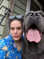 Red, a female Cane Corso for sale in Jackson, MI – 10 of 10